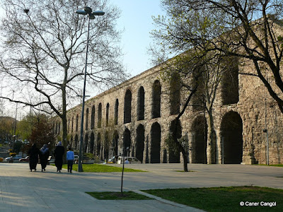 P1160154.JPG