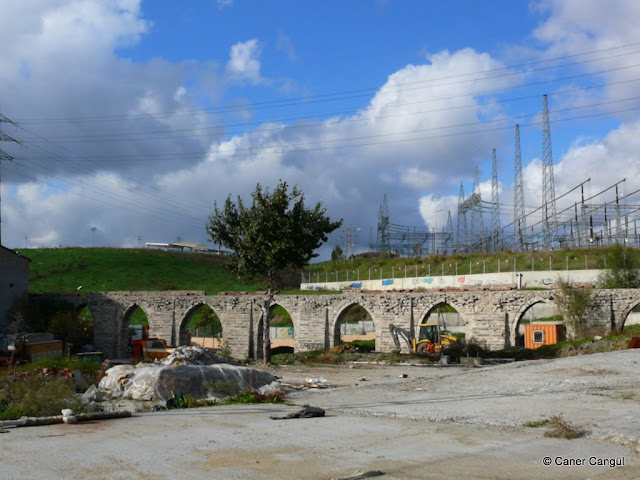 P1070700.JPG