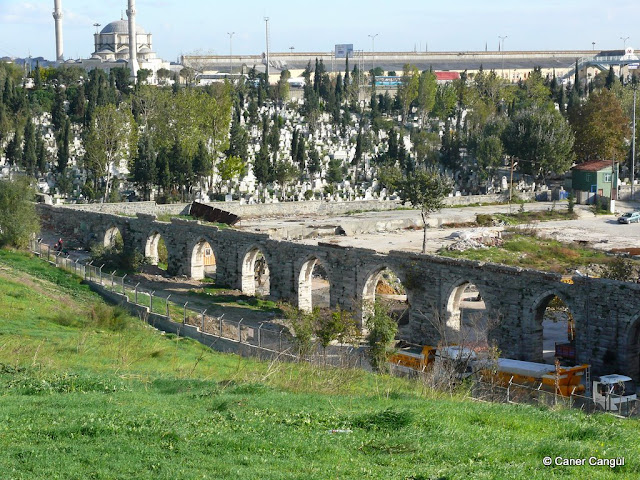 P1070717.JPG