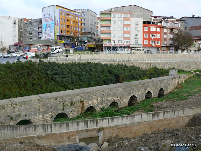 P1070178.JPG
