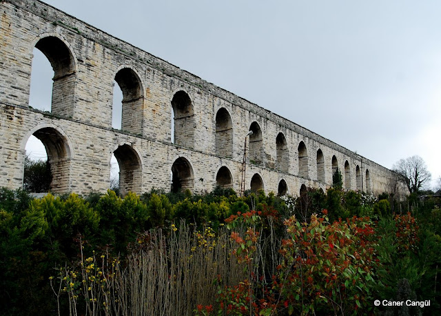 DSC_0022.JPG