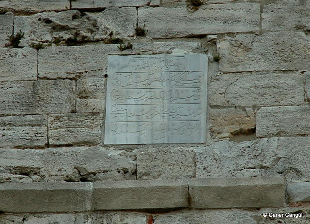 DSC_6559.JPG