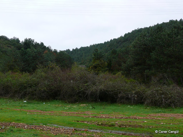 P1070254.JPG