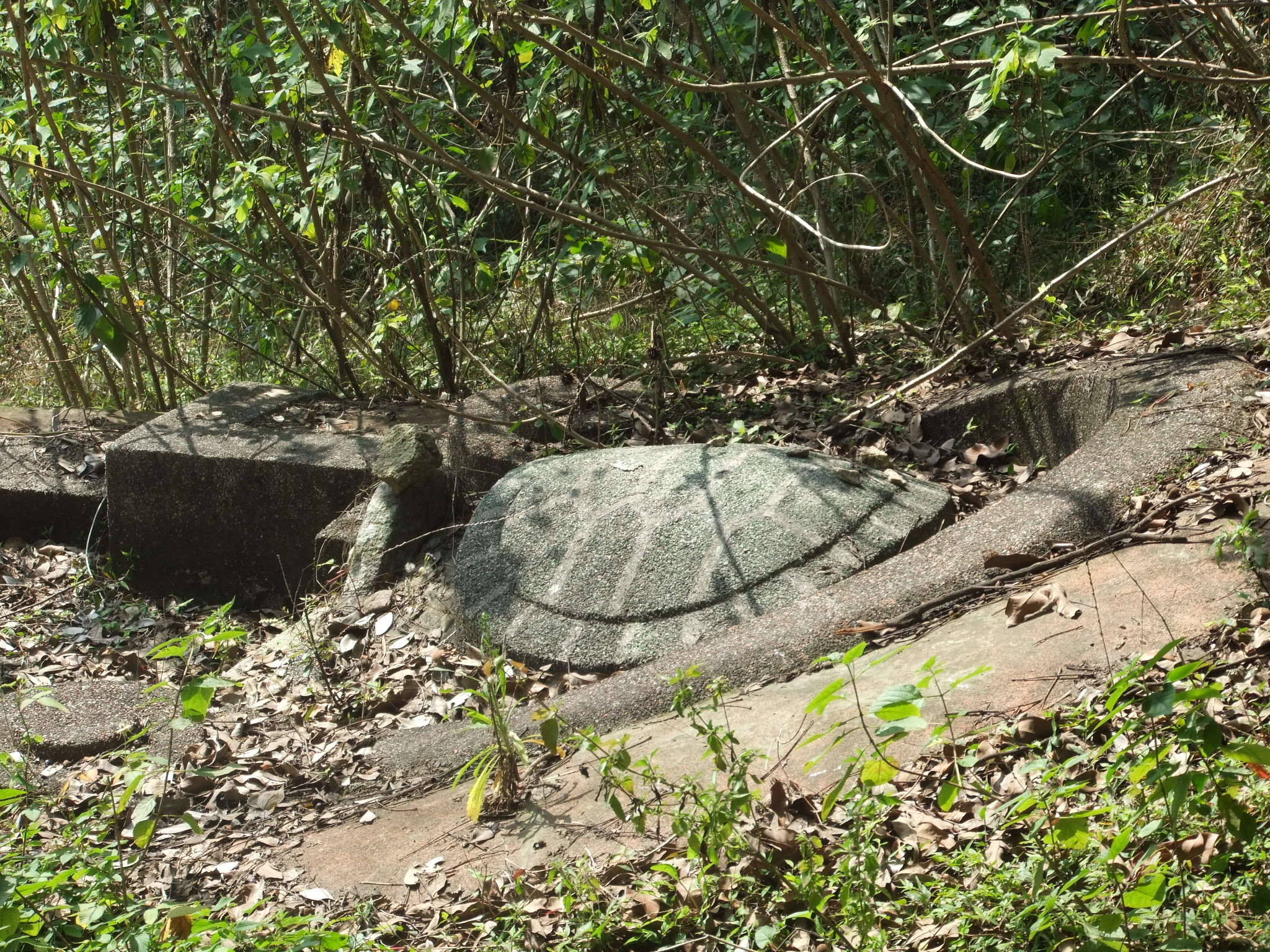 Lingshan_Islamic_Cemetery_-_turtle_tomb_-_DSCF8466.JPG