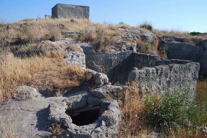 Malcha20s.jpg