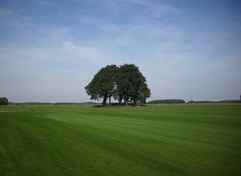 DSCI0048.JPG
