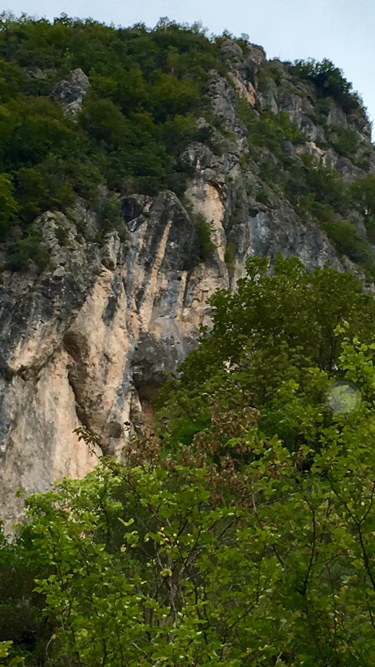 f431de0b80439e3fdf5e31a2a0333813.jpg