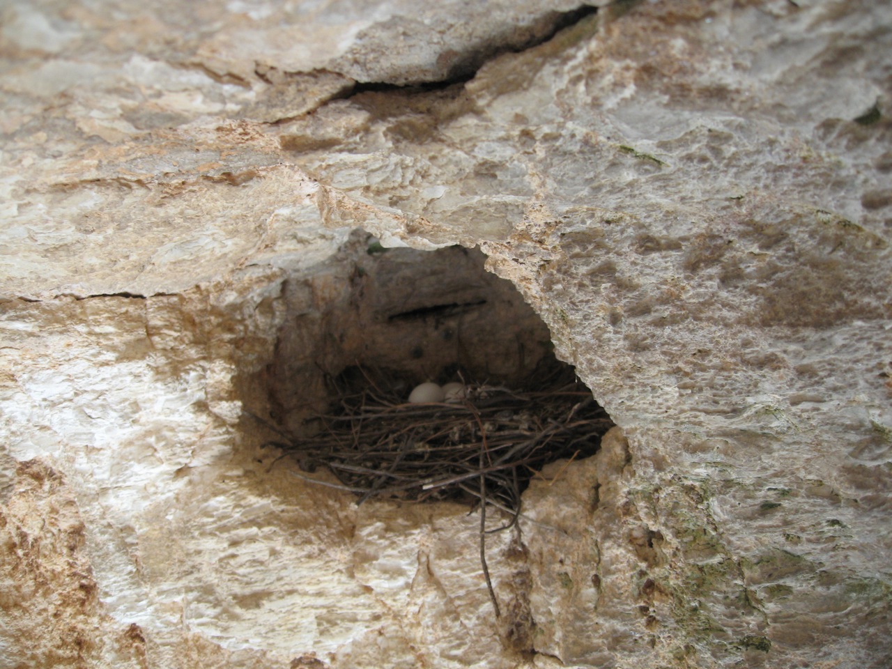 niche-in-columbarian-ramat-rahel.jpg