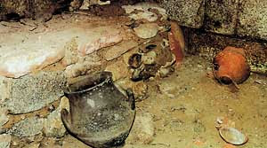 sashova+mogila.jpg