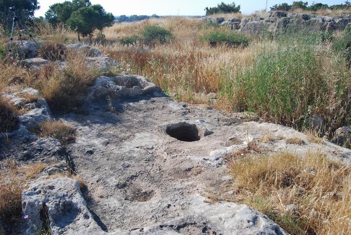 Malcha19s.jpg
