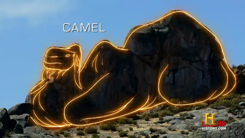 camel1.jpg