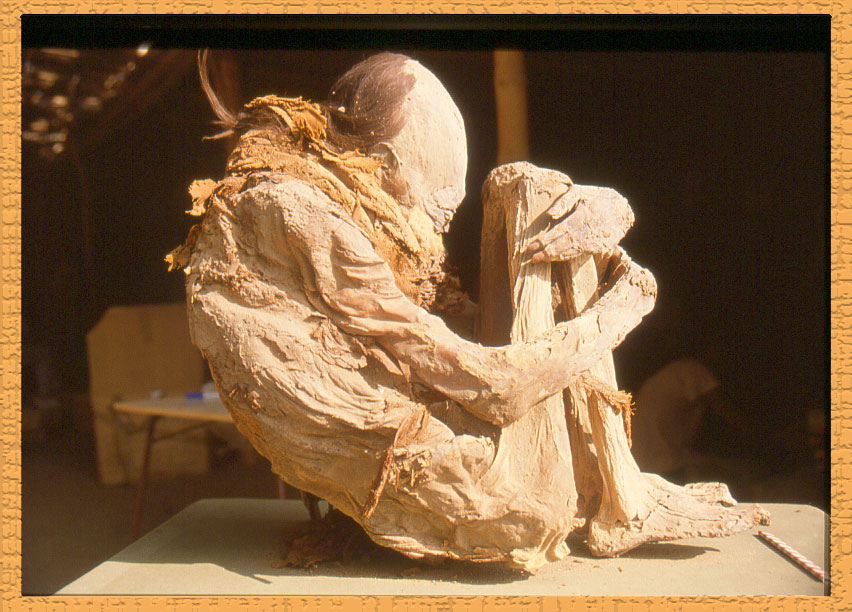 skull-nazca.jpg