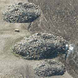 cakil_yigini.jpg