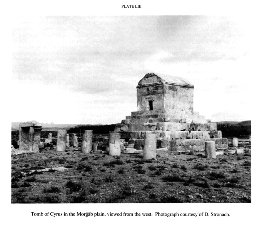cyrus_5_pl53.jpg