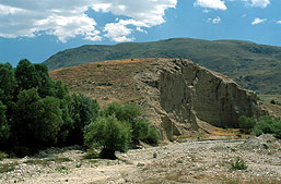 YarimHoyuk.jpg