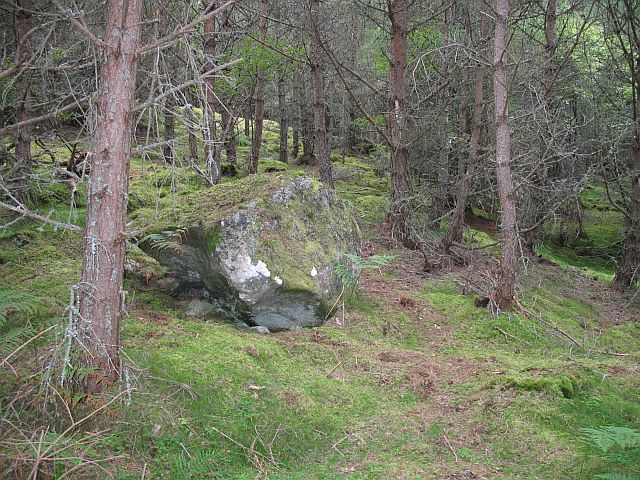 Boulder_and_forest_-_geograph.org.uk_-_524988.jpg