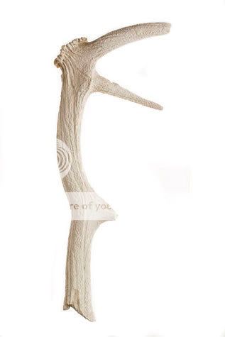 mercek18.jpg