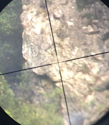 Bz9jmD.jpg