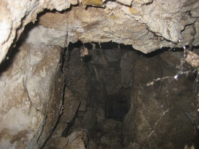Dehliz-5.jpg