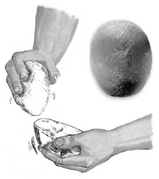 imagen-1.jpg