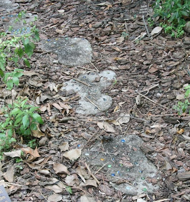 IMG_1587+stepping+stones.jpg