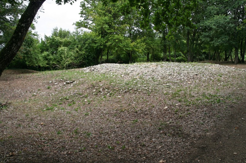 IMG_7342_DXO.jpg