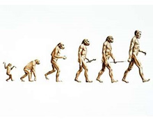 insan-evrimi.jpg