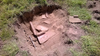 WP_20140614_030.jpg